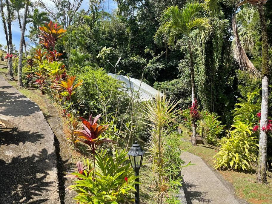 Jardin Secret Vila Petit-Bourg Exterior foto